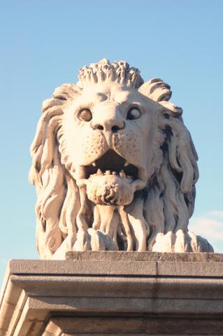 image León del Puente de las Cadenas, Budapest, Hungría
