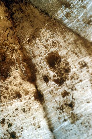 image Tapa de una cafetera