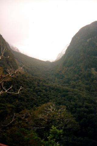 image Valle en mount Aspiring National Park, Nueva Zelanda