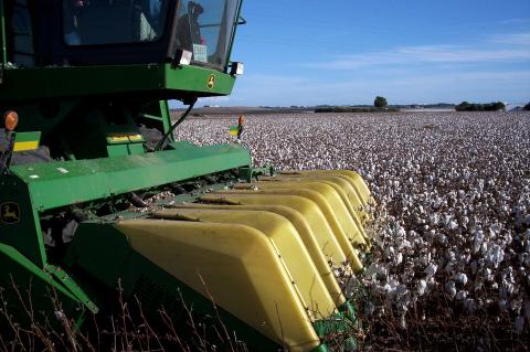 image Cosechadora de algodón