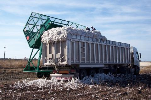 image Personas volcando algodón a un camión