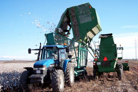 image Cosechadora volcando algodón sobre un tractor