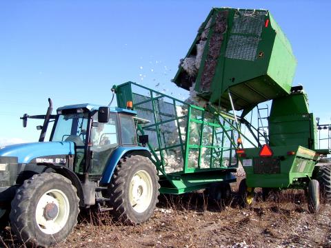 image Cosechadora volcando algodón sobre un tractor