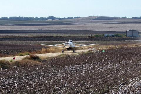image Avioneta aterrizando en una plantación de algodón