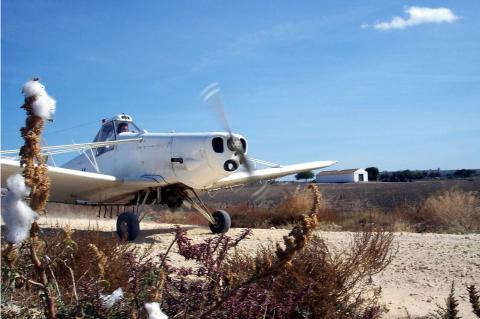 image Avioneta despegando en una plantación de algodón