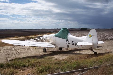 image Avioneta fumigadora en una plantación de algodón
