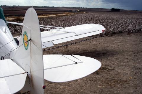 image Avioneta fumigadora en una plantación de algodón