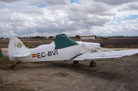 image Avioneta fumigadora en una plantación de algodón