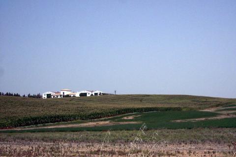 image Plantación de maíz