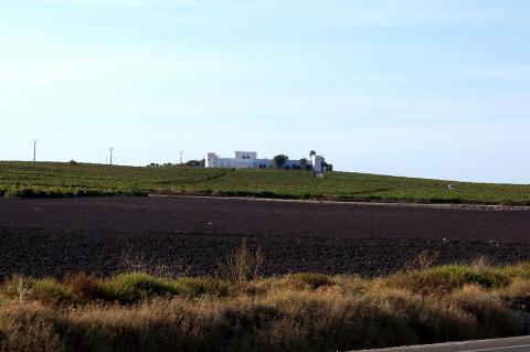 image Cortijo con viñas