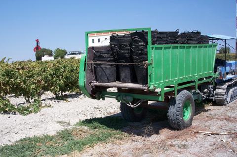 image Remolque cargado con espuertas para la recolección de la uva