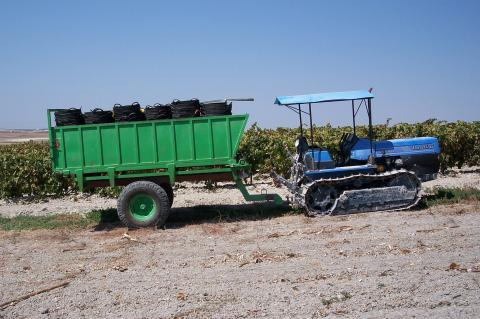 image Remolque cargado con espuertas para la recolección de la uva