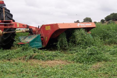 image Detalle de la siega en un campo de alfalfa
