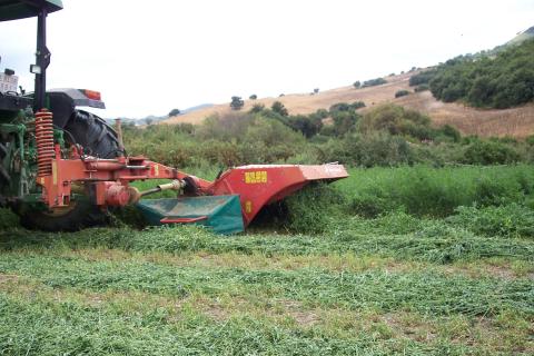 image Detalle de la siega en un campo de alfalfa