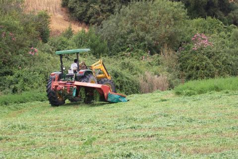 image Siega en un campo de alfalfa