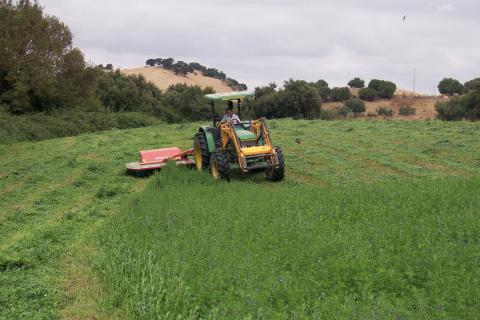 image Siega en un campo de alfalfa