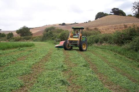 image Siega en un campo de alfalfa