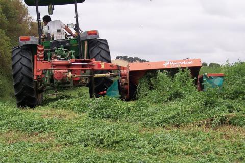 image Siega en un campo de alfalfa