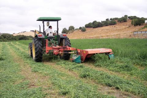 image Siega en un campo de alfalfa