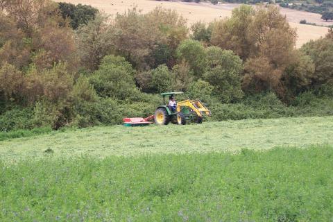 image Siega en un campo de alfalfa