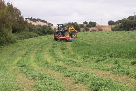 image Siega en un campo de alfalfa