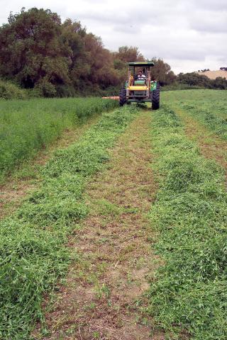image Siega en un campo de alfalfa
