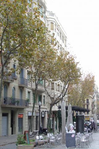 image Avenida Gaudí, Barcelona