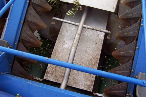 image Tolva de una cosechadora de aceitunas