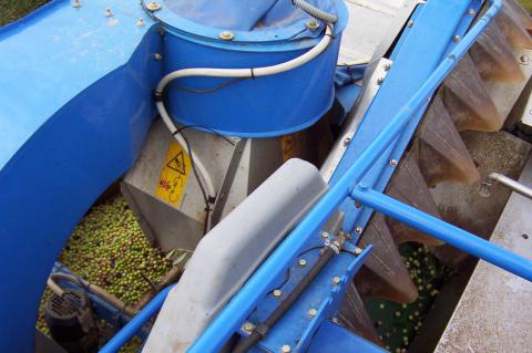 image Tolva de una cosechadora de aceitunas