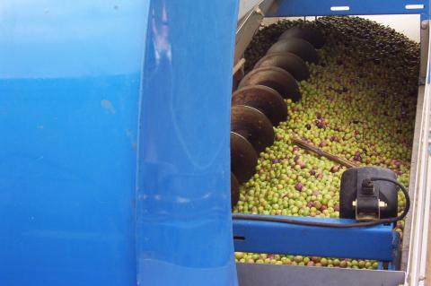 image Tolva de una cosechadora de aceitunas