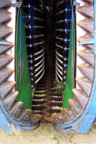 image Cosechadora de aceitunas