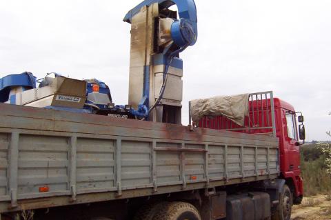image Volcado de aceitunas en un camión