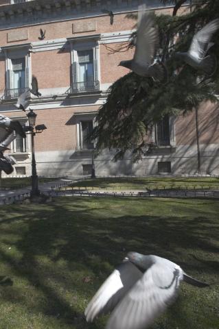 image Paseo del Prado, Madrid