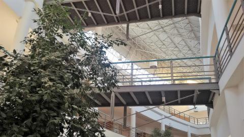 image Pasarela (Universidad de Alicante)