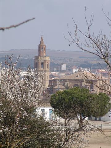 image Vista de la Catedral de Barbastro, Huesca