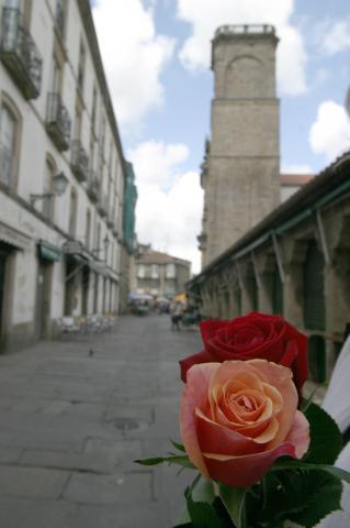 image Flores para Santa Rita de Casia, Santiago de Compostela, A Coruña
