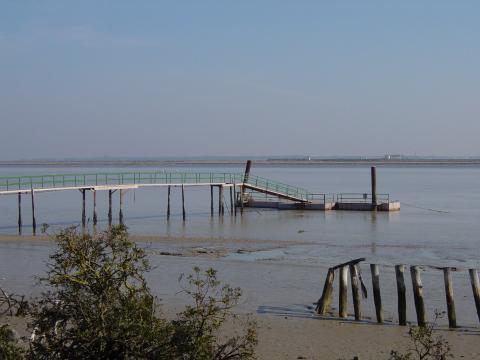image Pantalán del Muelle del Poblado de La Plancha, Partque Nacional de Doñana, Huelva