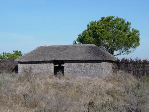 image Observatorio de aves en la Laguna de El Acebuche, Parque Nacional de Doñana, Huelva