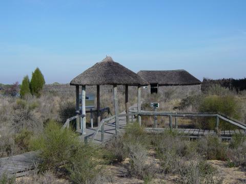 image Sendero peatonal de La Laguna del Acebuche,, Parque Nacional de Doñana, Huelva
