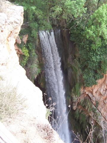 image Cola de Caballo, Monasterio de Piedra, Nuévalos, Zaragoza