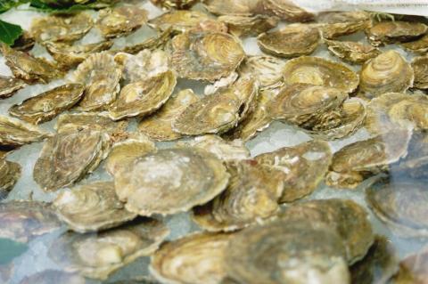 image Ostras