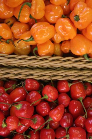 image Pimientos del Mercado Municipal de Sao Paulo, Brasil