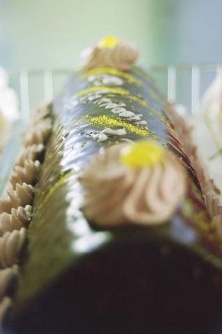 image Brazo de gitano