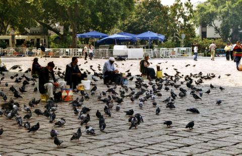 image Plaza de Beyacit, Estambul, Turquía