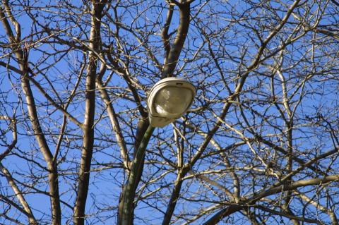 image Farola en La Almudena, Madrid