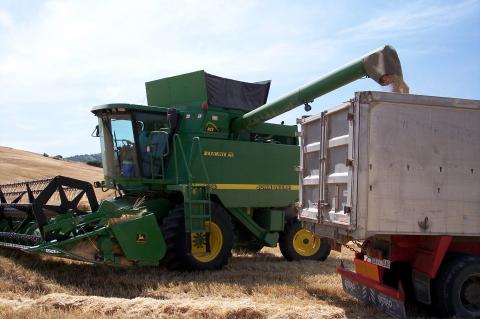 image Cosechadora descargando trigo en un camión