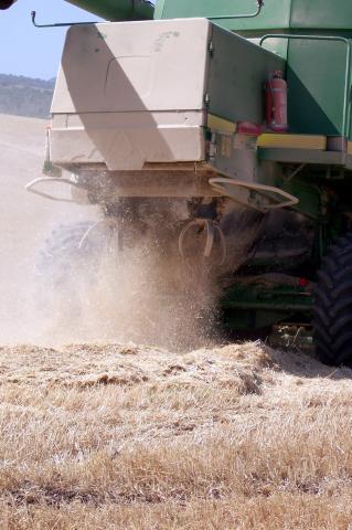 image Cosechadora esparciendo paja