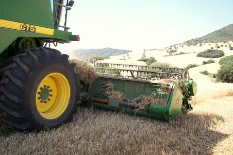 image Mecanismo de corte de una cosechadora de trigo