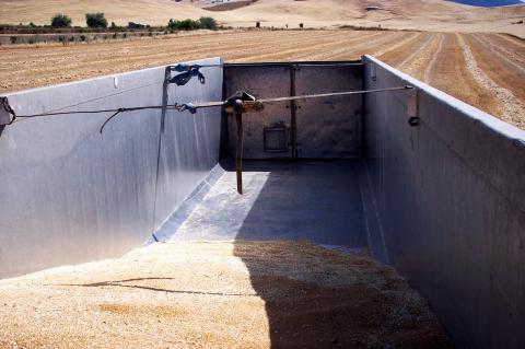 image Trigo en un camión