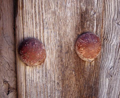 image Detalle de herraje de puerta rural